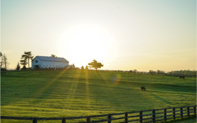 Special Education Teacher at Rural School